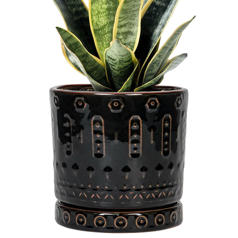Eightpot ceramic plant pot with drainage hole for healthy watering.