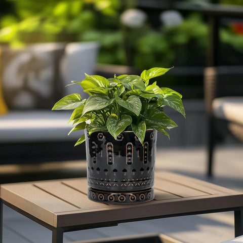 Eightpot ceramic plant pot indoor view shows Boho-modern styling.