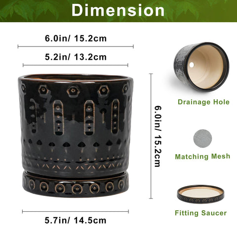Eightpot ceramic plant pot includes mesh pad to prevent spills.