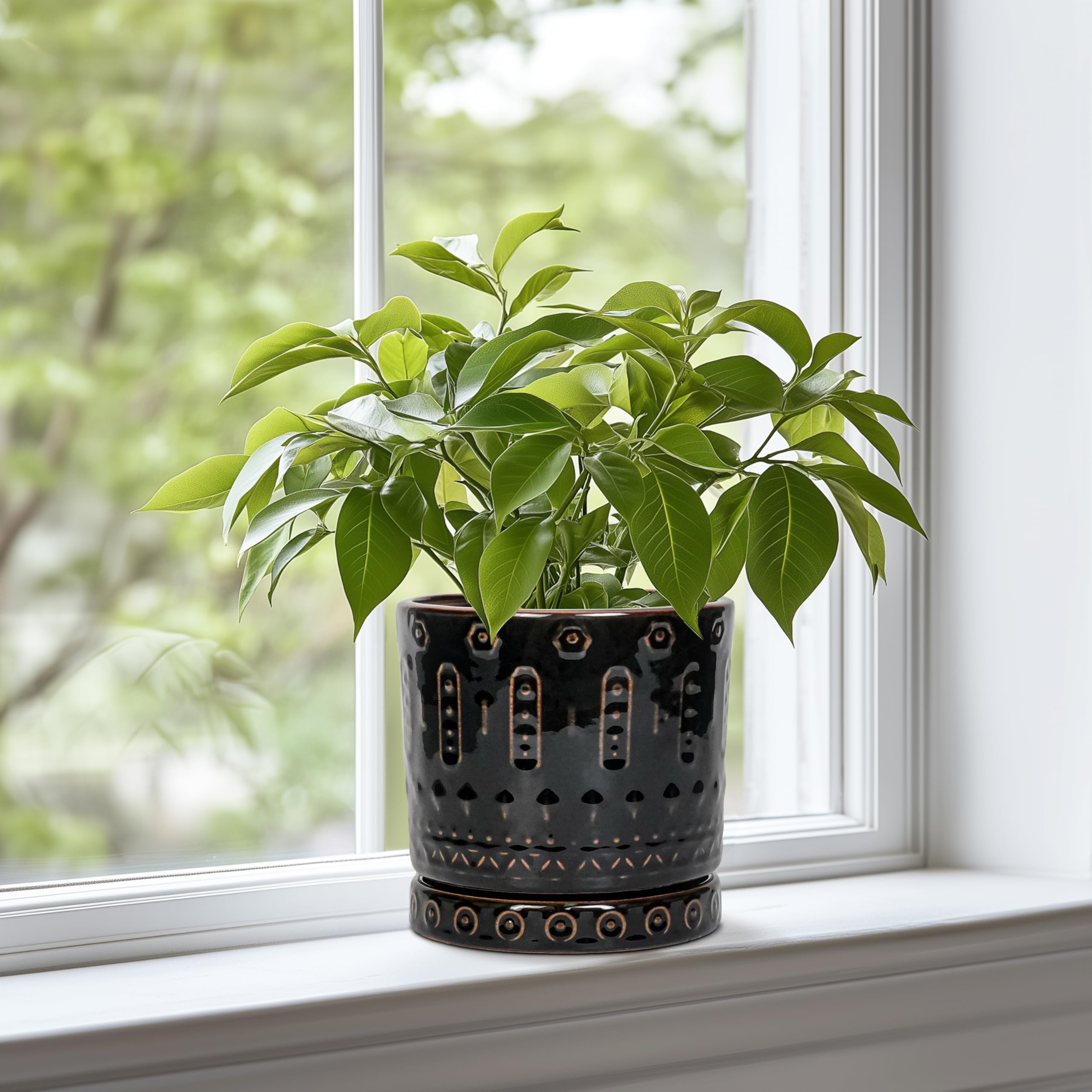 Eightpot ceramic plant pot with saucer keeps surfaces clean.