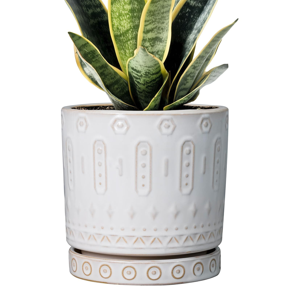 Eightpot ceramic plant pot 6-inch with clean white finish enhances home decor.