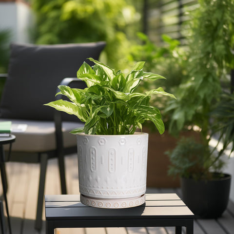 Eightpot 10-inch planter shows drainage holes and saucer for mess-free watering.