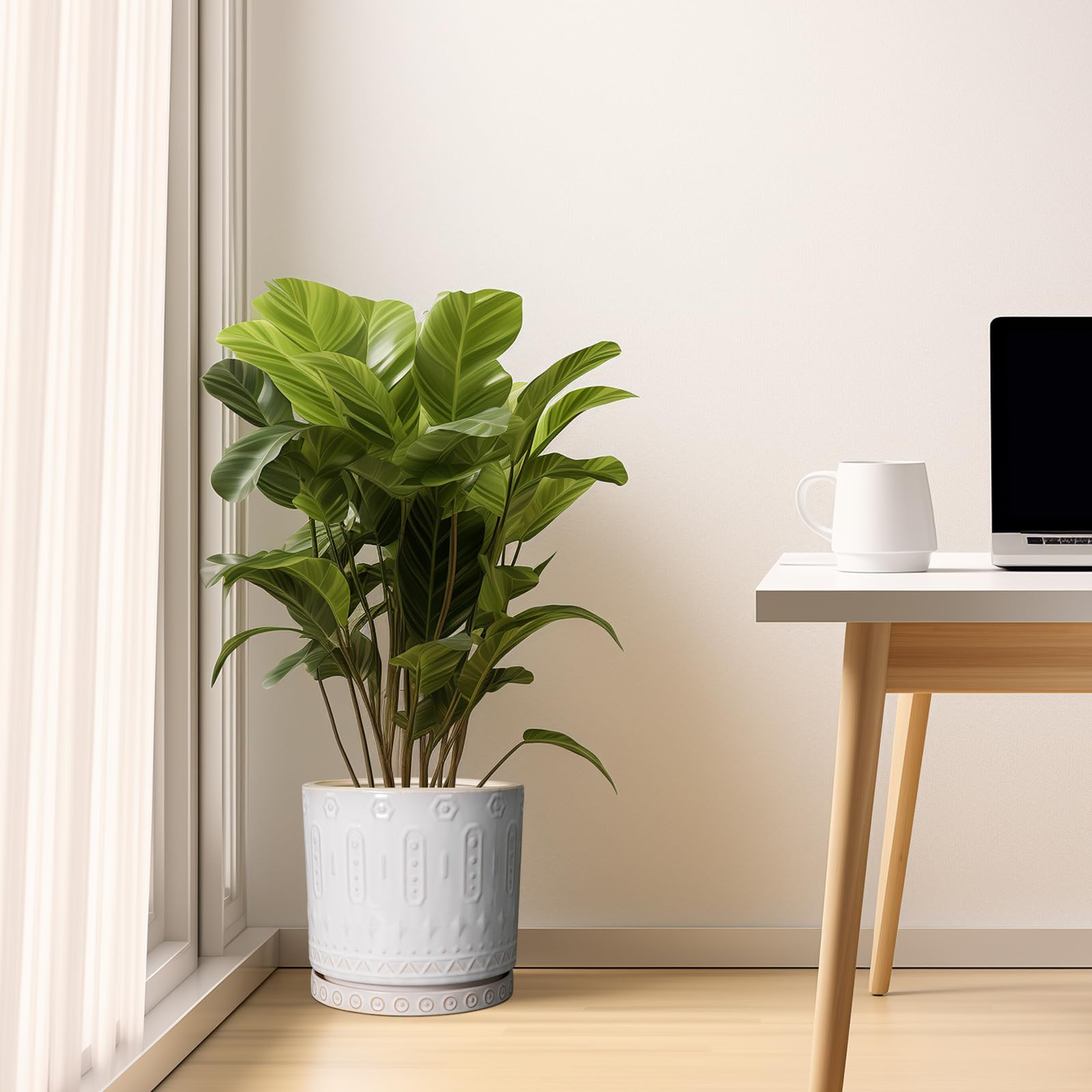 Removable saucer shown under Eightpot 10-inch planter to protect surfaces.