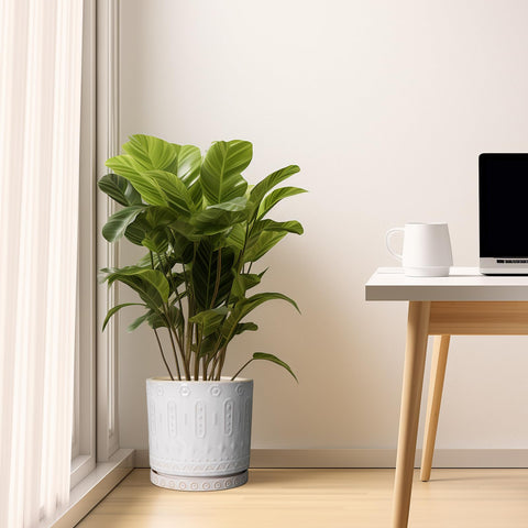 Removable saucer shown under Eightpot 10-inch planter to protect surfaces.