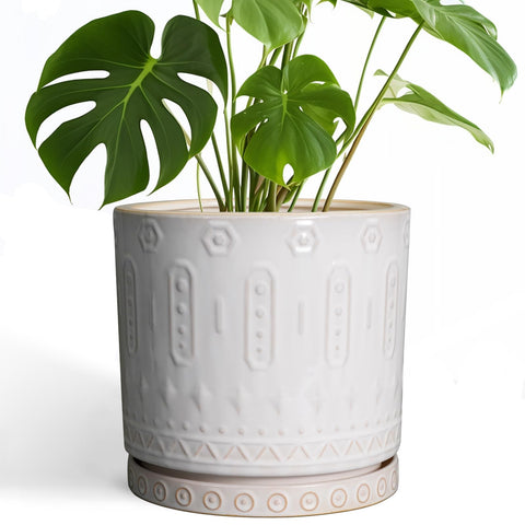 Eightpot ceramic planter 10-inch front view in a bright room for stylish indoor decor.