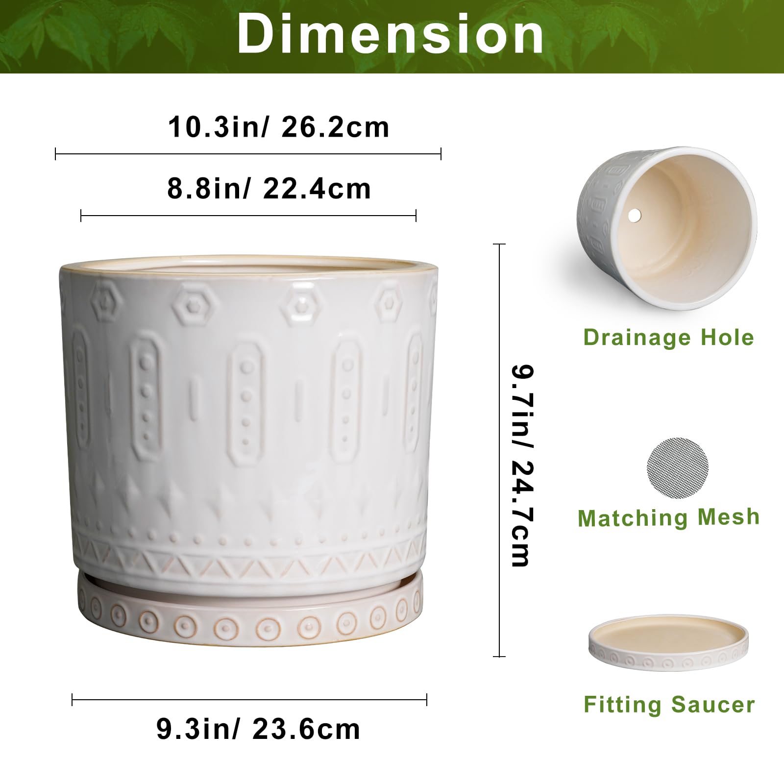 Eightpot 10-inch indoor-use planter shown with money tree for modern spaces.