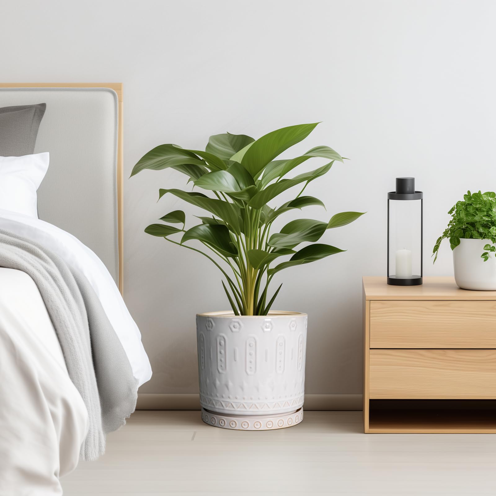 Eightpot 10-inch planter alongside fiddle leaf fig for eye-catching decor.