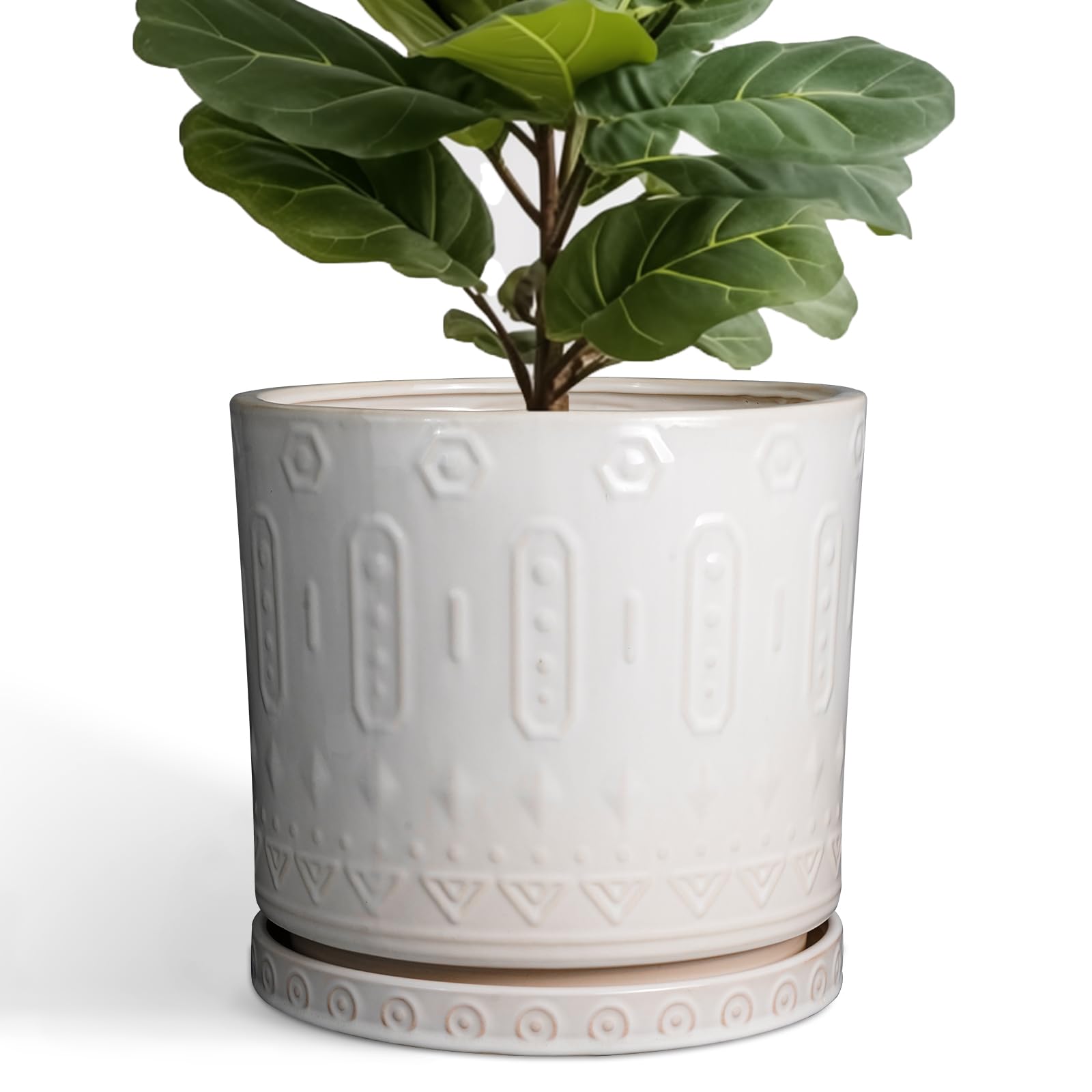 Eightpot ceramic pot with drainage holes and saucer for healthy watering.