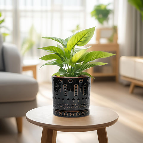 Eightpot ceramic pot boho pattern complements modern décor.