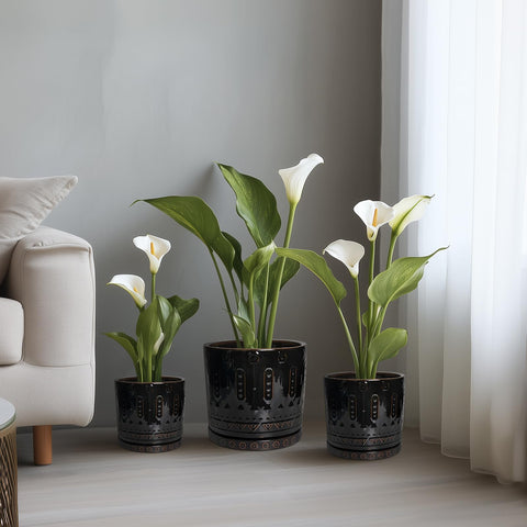 Eightpot ceramic pot gift pack for gardeners and décor lovers.