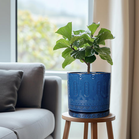 Eightpot ceramic saucer close-up shows modern blue glaze and geometric pattern for decor.