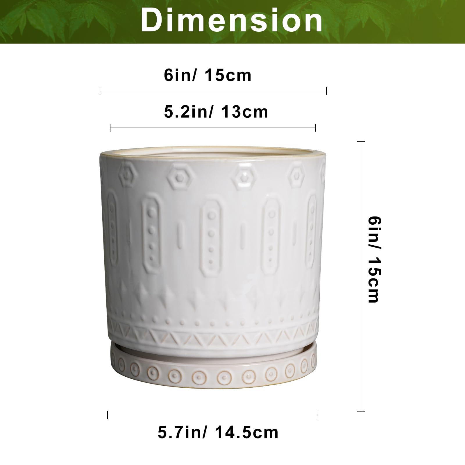 Eightpot drainage holes closeup highlights healthy airflow for root growth.