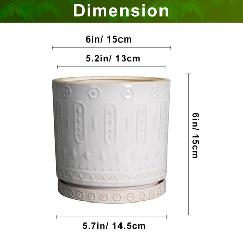 Eightpot drainage holes closeup highlights healthy airflow for root growth.