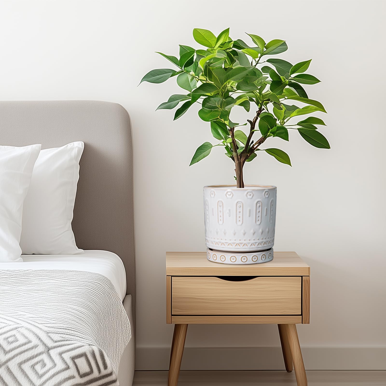 Eightpot gift-ready ceramic pot adds thoughtful decor for housewarmings.
