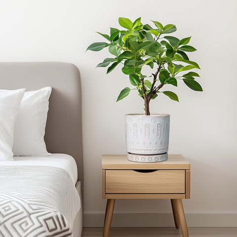 Eightpot gift-ready ceramic pot adds thoughtful decor for housewarmings.