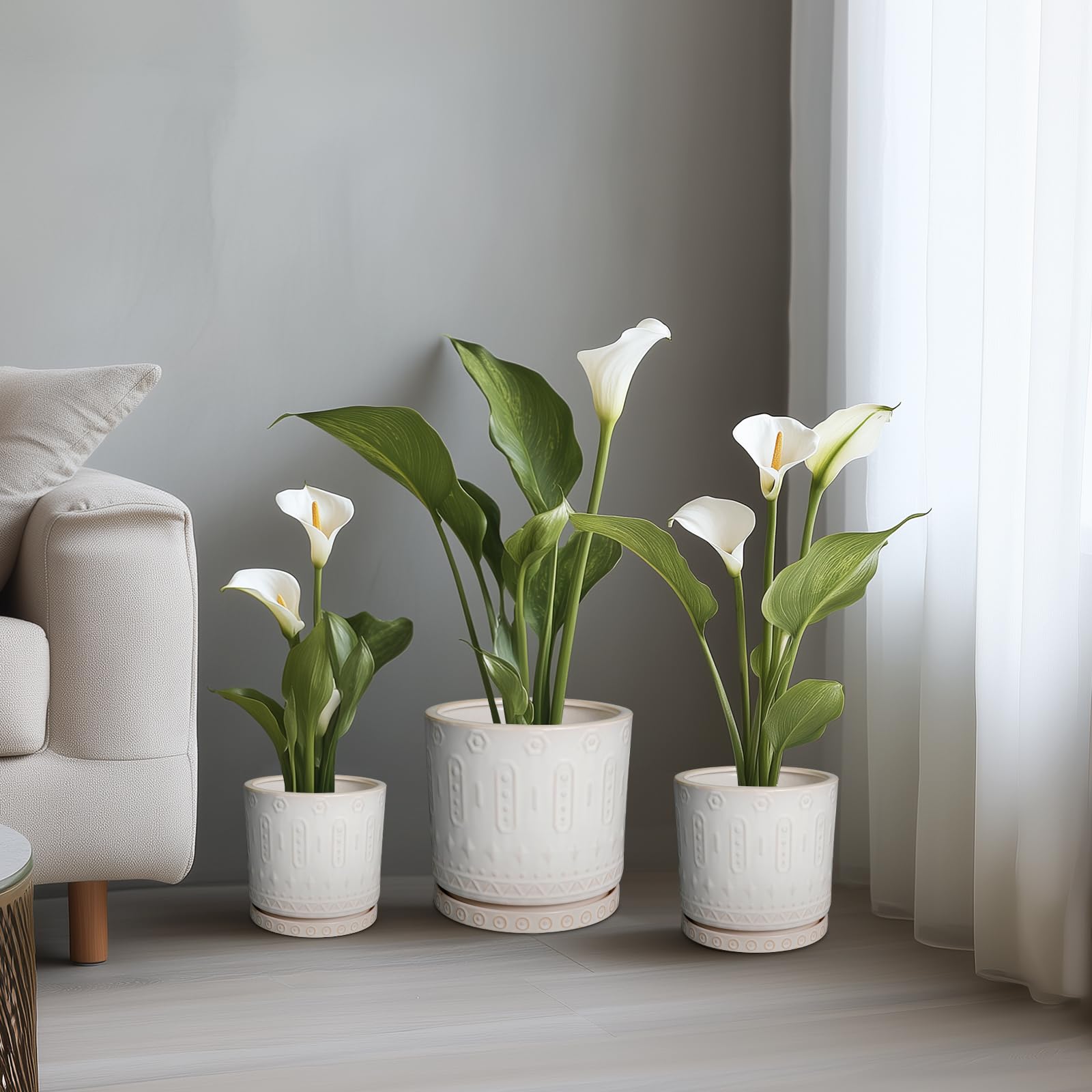Eightpot indoor-outdoor plant pot suits patios and balconies.