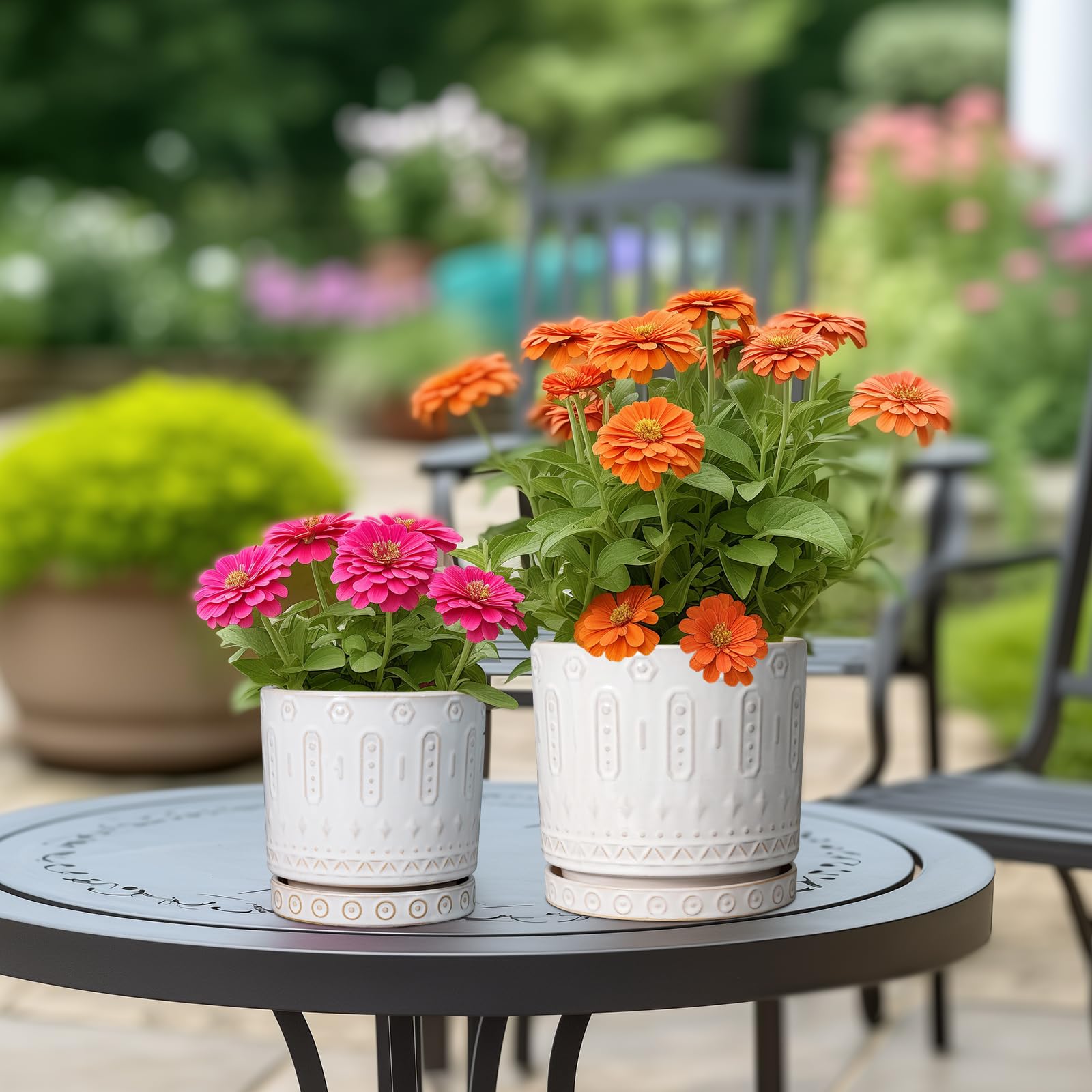 Eightpot peace lily in ceramic pot complements bright indoor setups.