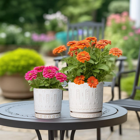 Eightpot peace lily in ceramic pot complements bright indoor setups.