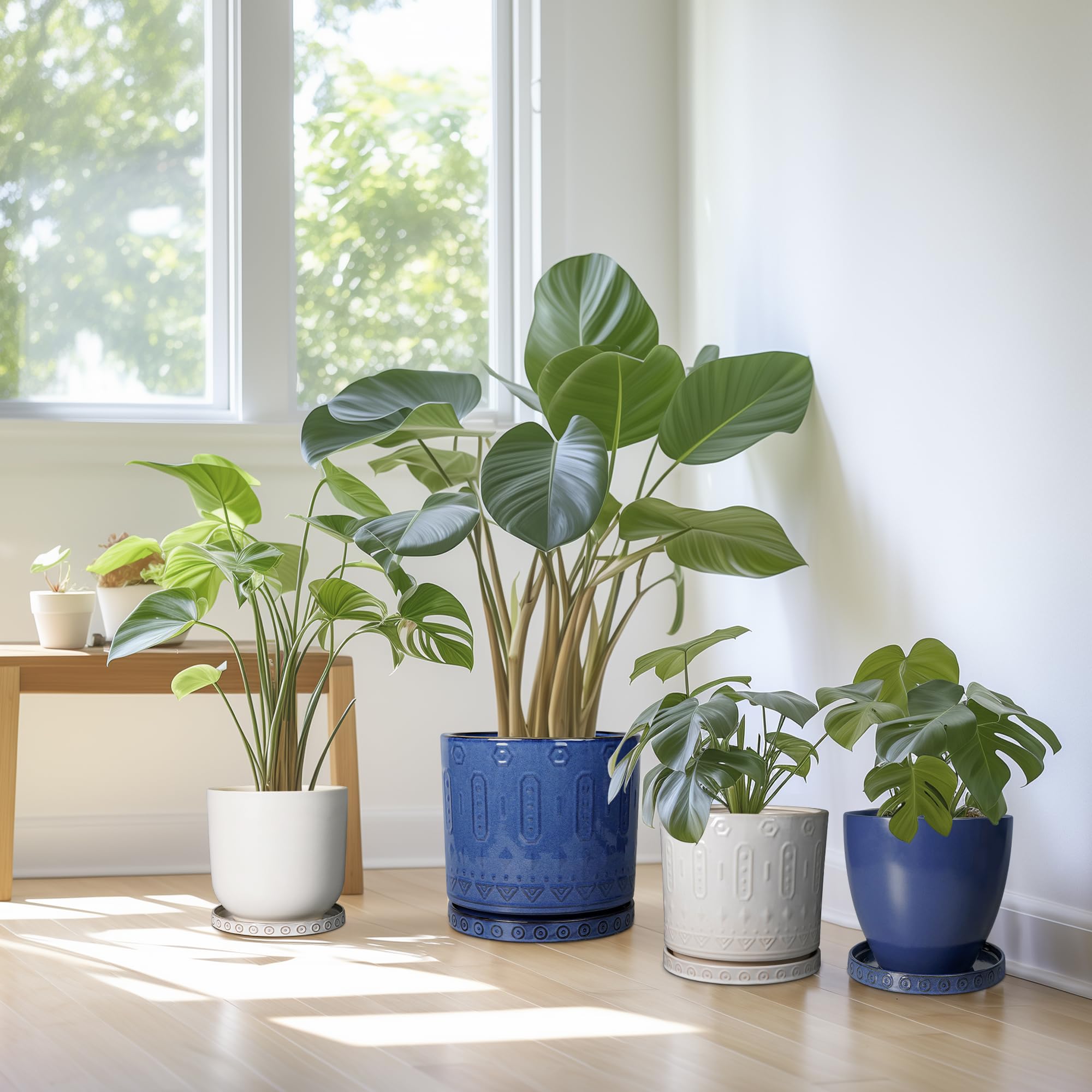 Eightpot packaging ensures safe delivery and easy setup.