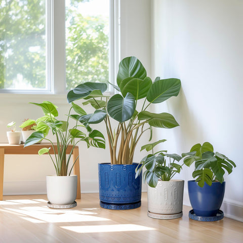 Eightpot packaging ensures safe delivery and easy setup.