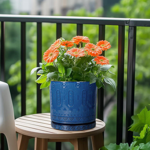Eightpot 7.5-inch tray provides ample space for drainage and soil containment.