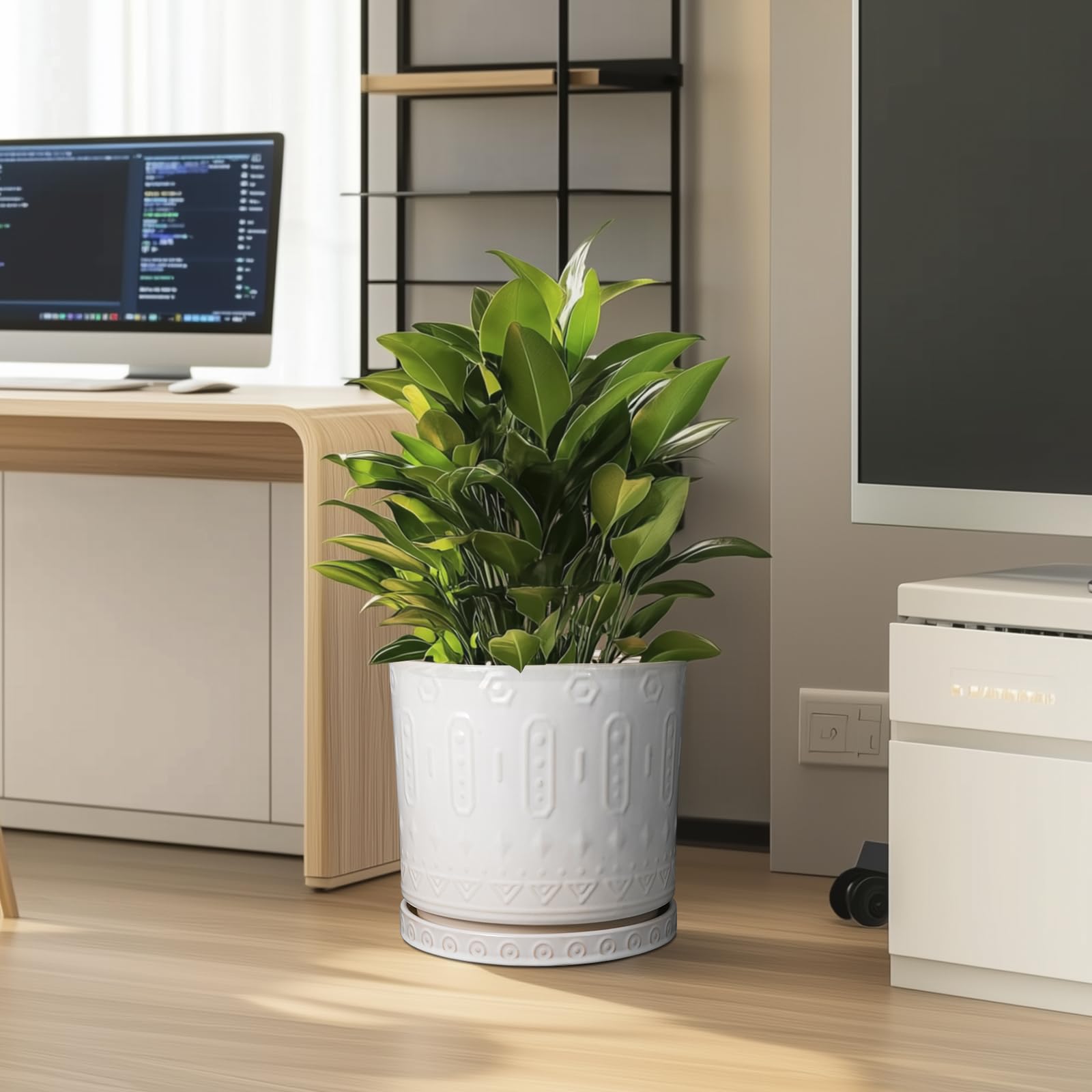 Eightpot white ceramic planter features a modern design for interiors.