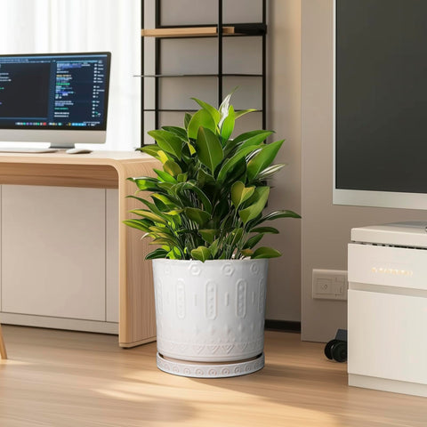 Eightpot white ceramic planter features a modern design for interiors.