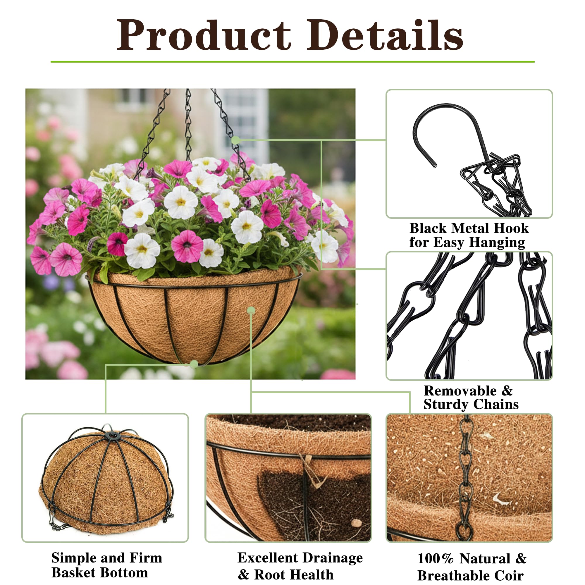EIMQUVW garden scene with flowers in 8 inch hanging planters