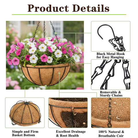 EIMQUVW garden scene with flowers in 8 inch hanging planters