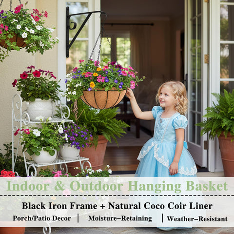EIMQUVW succulents thriving in metal hanging planter basket