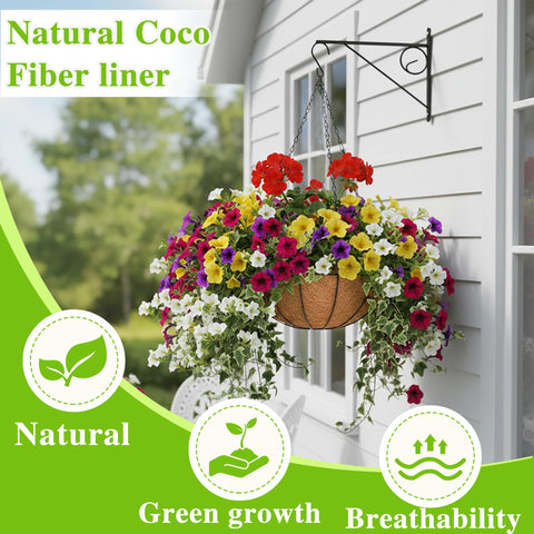 EIMQUVW wire-frame baskets with black coating for rust resistance and sturdy garden mounting