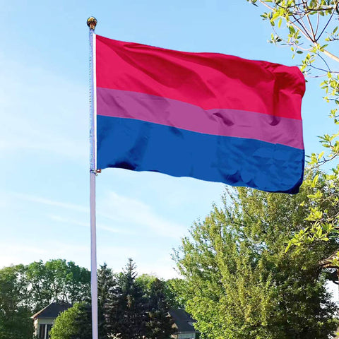 Closeup of EKEV Bi Pride Flag with brass grommets and durable hardware.