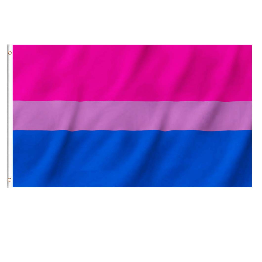 EKEV 3x5 Bi Pride Flag on a pole for outdoor visibility.