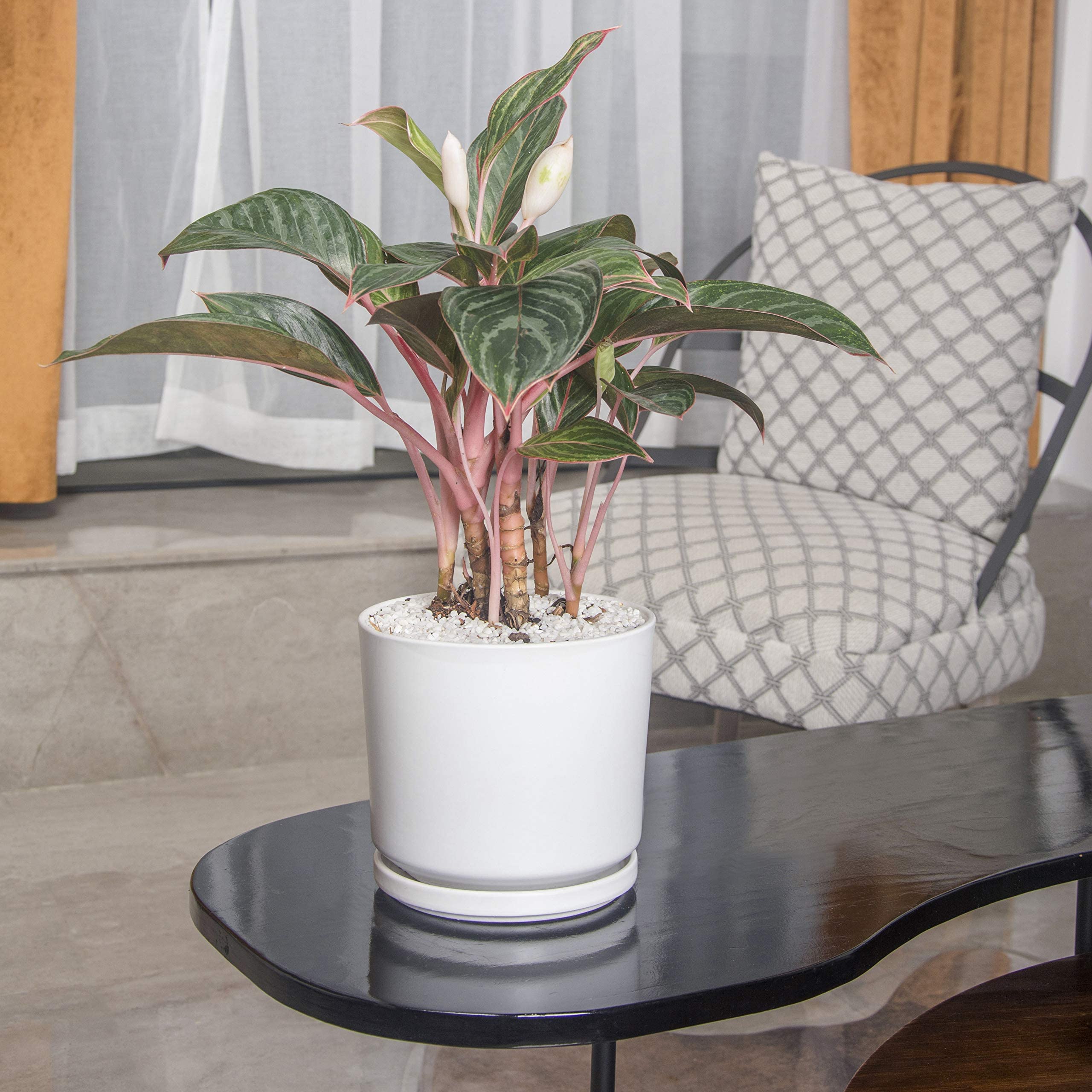 Ekirlin drain-hole pot with saucer base to protect surfaces