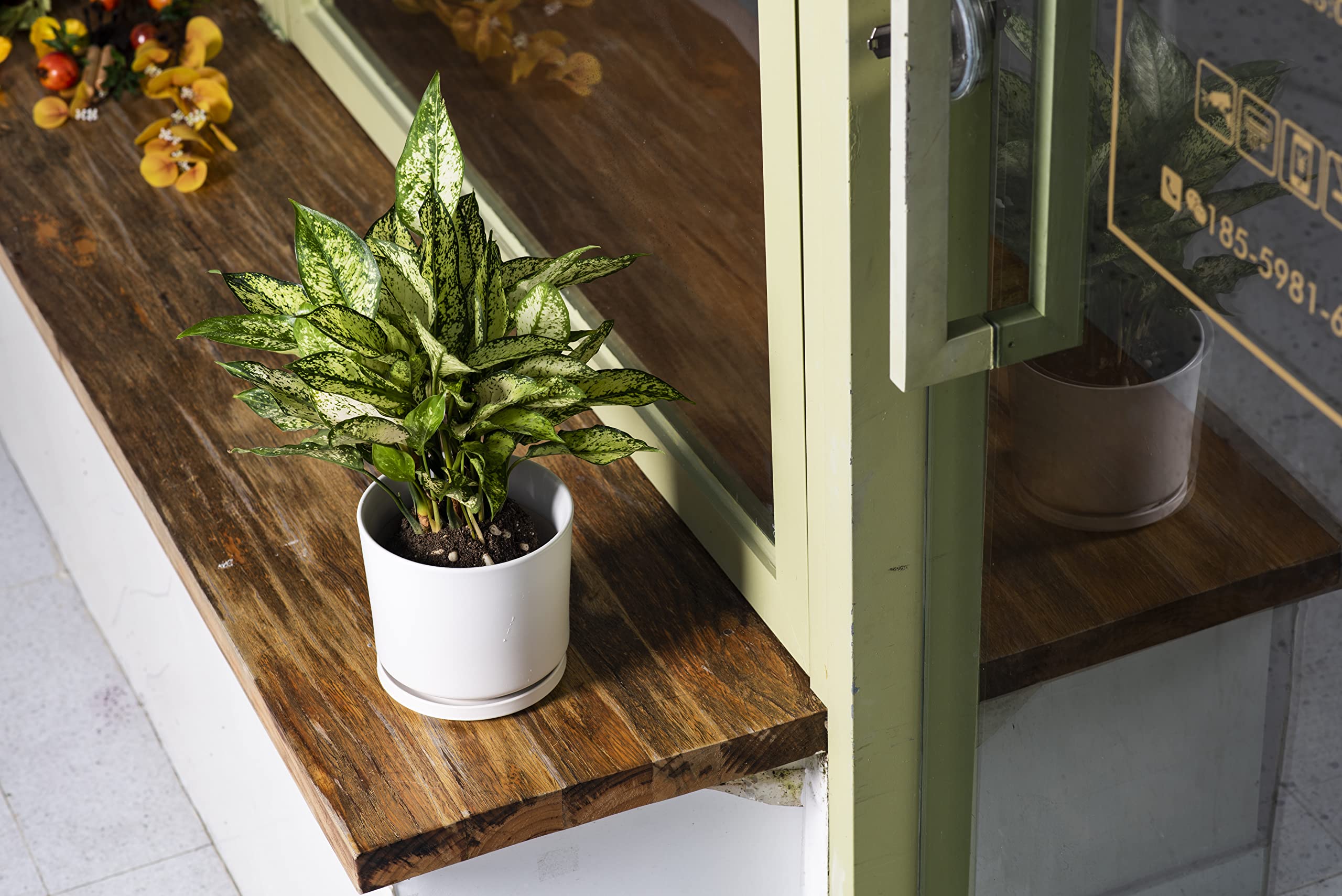 Ekirlin indoor/outdoor decor pot in white for windowsills and patios