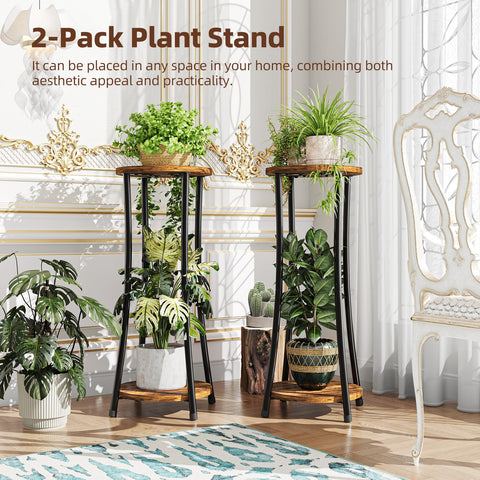 Ekisemio 2-Pack Plant Stand elevates greenery to eye level for easy viewing.