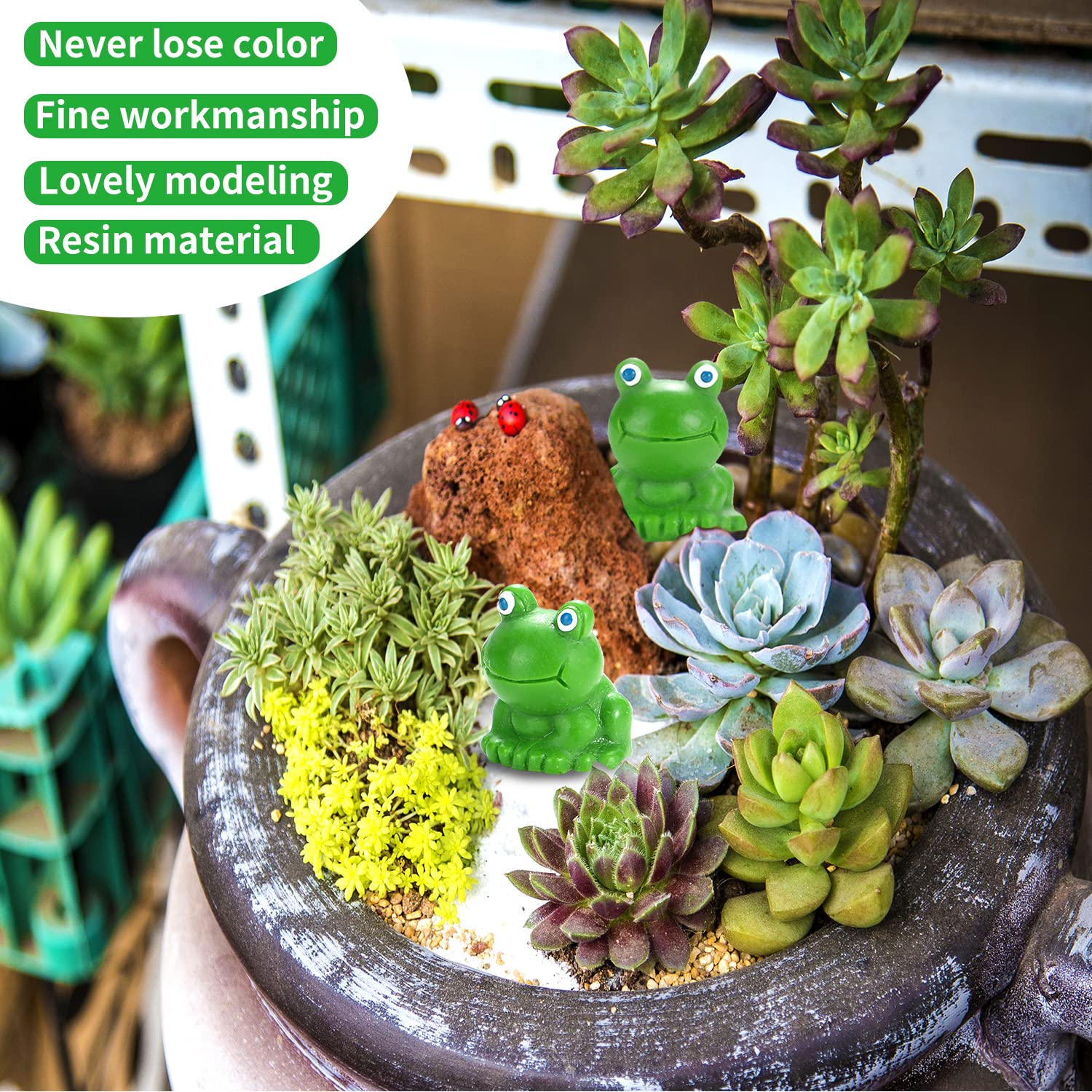 EKisemio miniature frog garden figurine enhances succulent planters with whimsy.