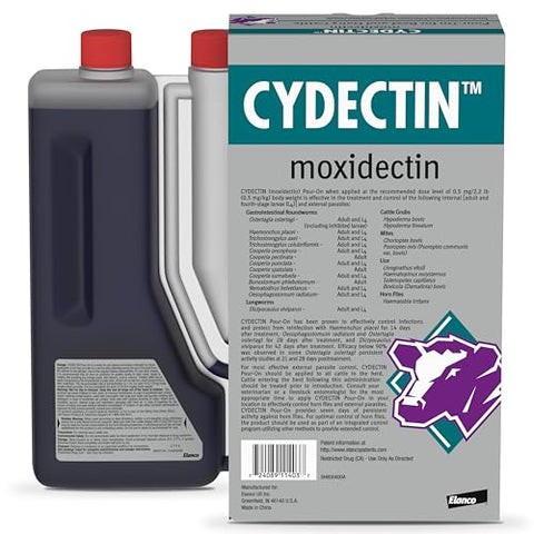 Cydectin Pour-On being applied to dairy cattle for parasite control.