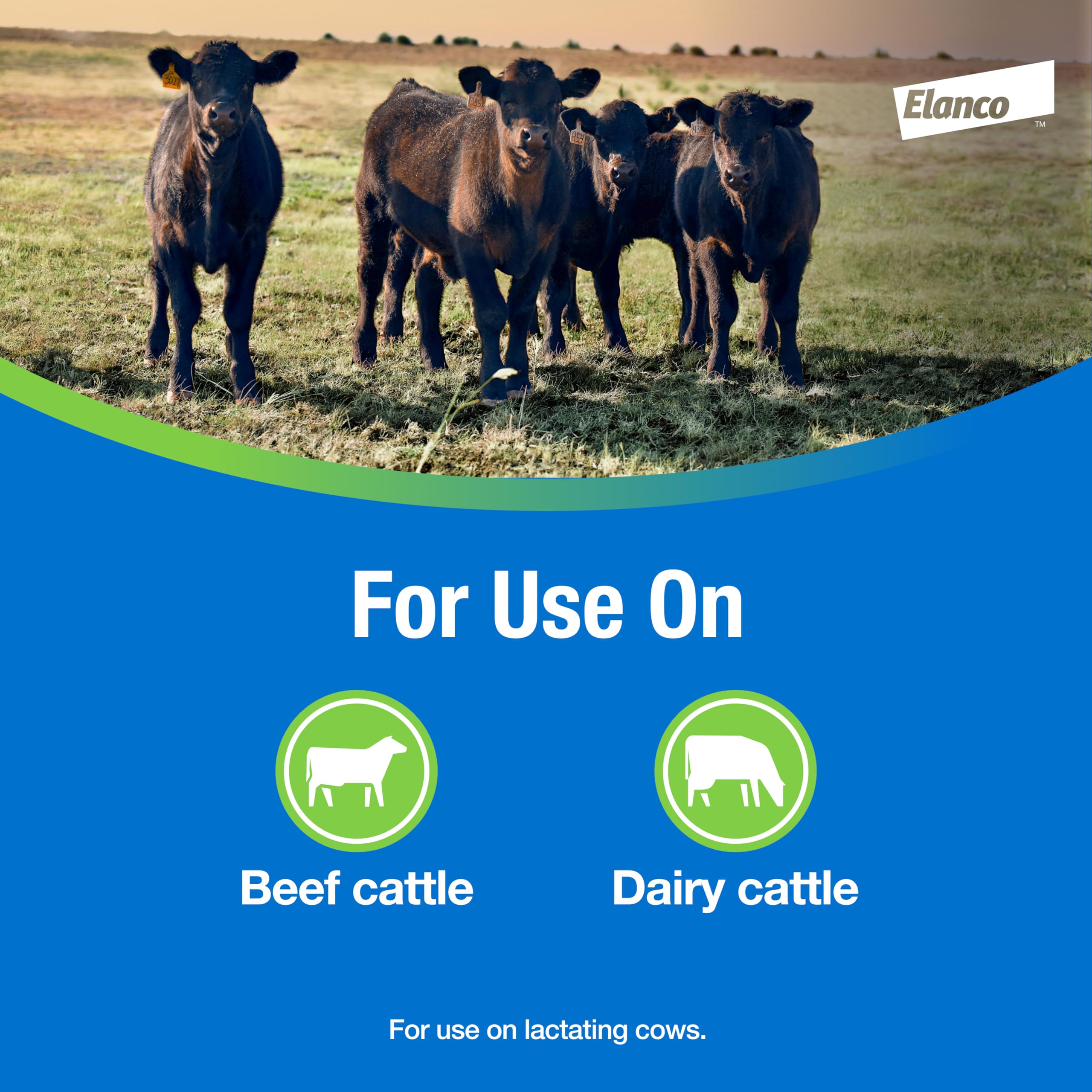 Elanco CyLence pour-on delivers a small-dosage per treatment for efficiency.