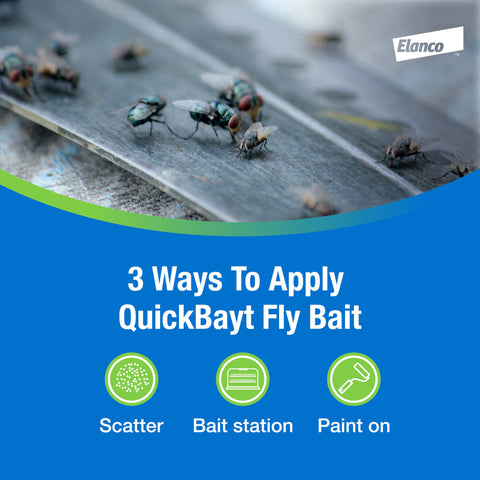 Elanco QuickBayt Fly Bait helps address fly resistance to some traditional insecticides