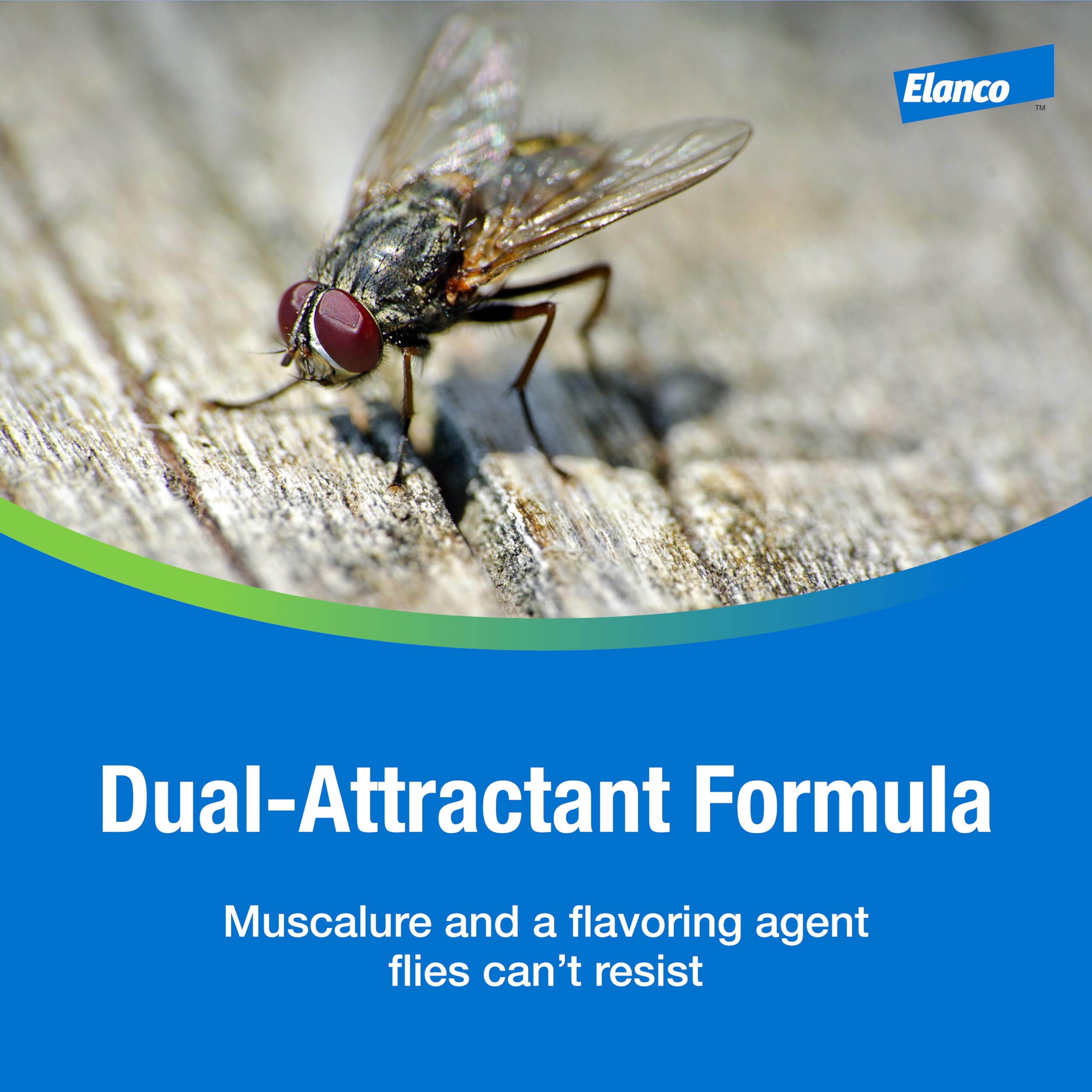 Surfaces treated in stalls and beams for fly suppression