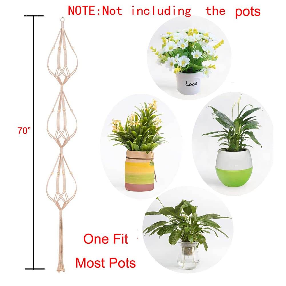 ELANE 70-inch macrame plant hanger setup elevates plants to improve light exposure