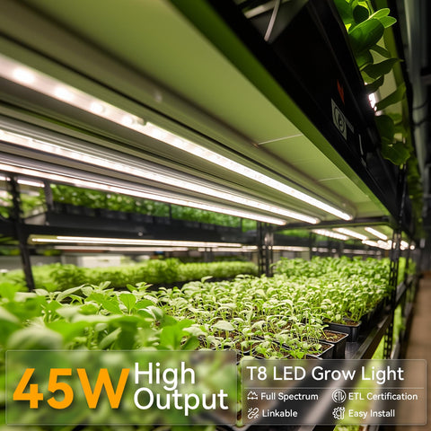 Elaruslux LED panel showing 5000K daylight ideal for seedlings