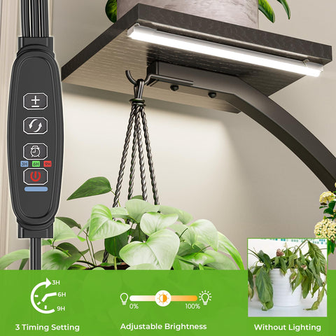 Elbourn anti-rust coating enhances stand longevity in humid spaces.