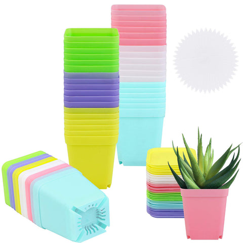 Elcoho 36-pack square pots with saucers in multiple colors for versatile indoor planting.