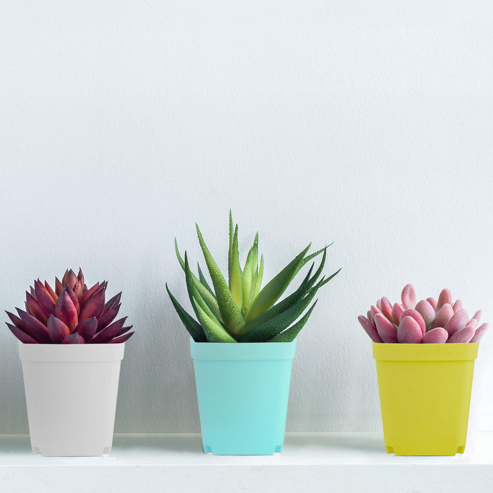 Elcoho square plant pots with saucers in pink for bright interior decor and seedling growth