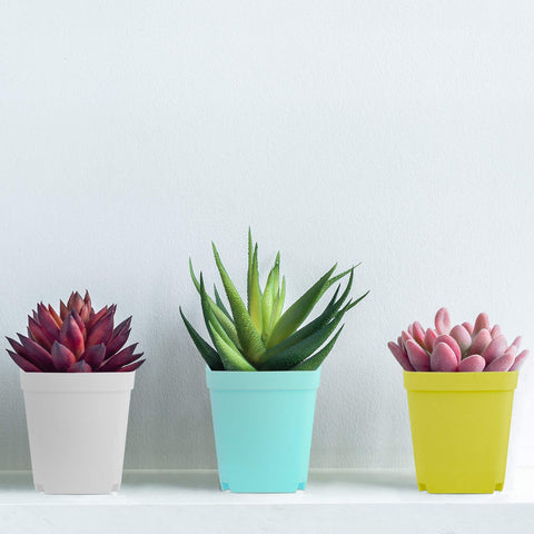 Elcoho square plant pots with saucers in pink for bright interior decor and seedling growth