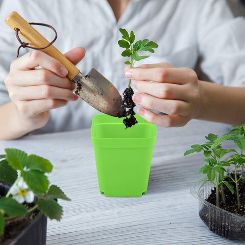 Elcoho lightweight, durable plastic makes rearranging plants easy.