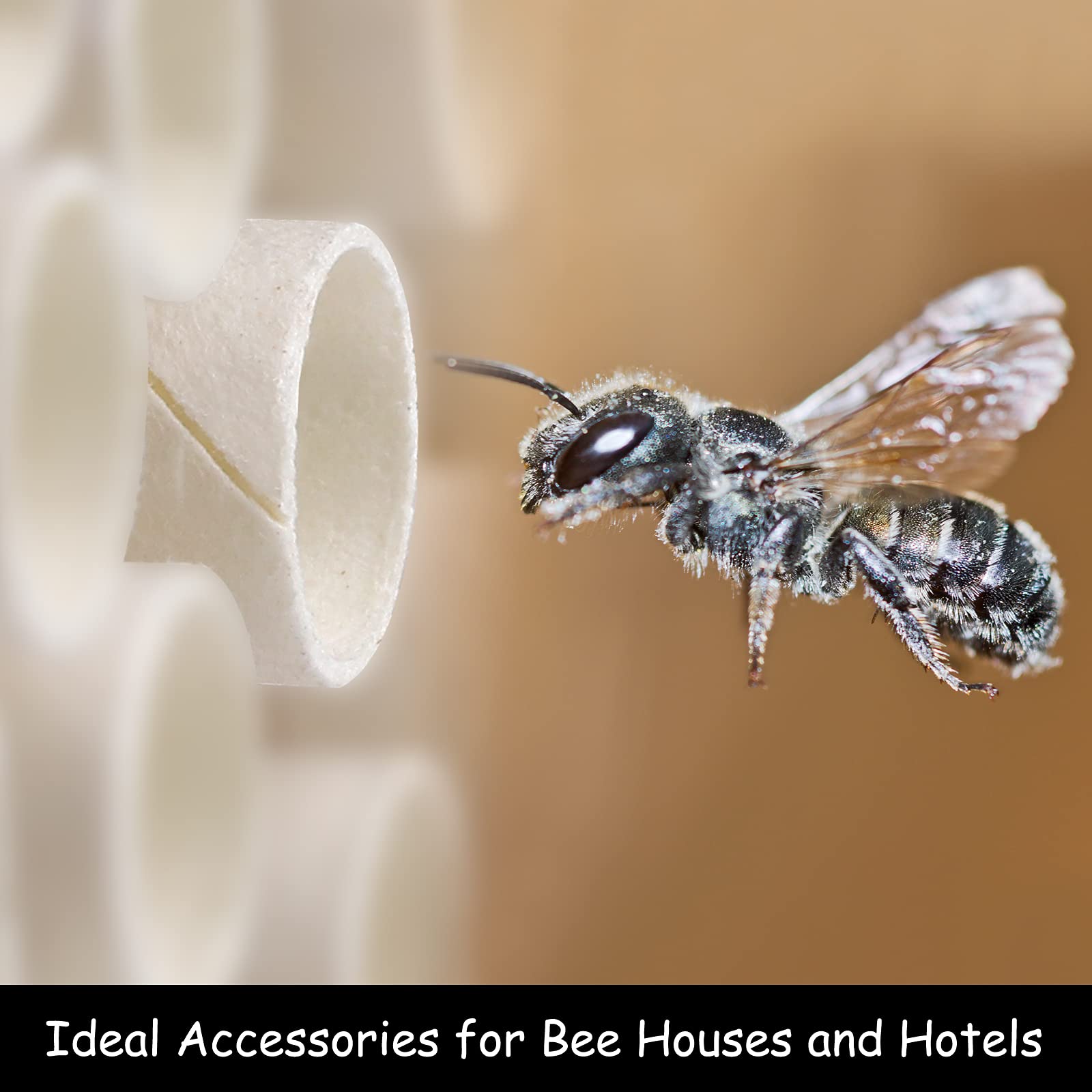 Elcoho paper inserts for bee nest tubes keep nests clean after hatch
