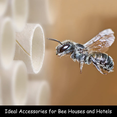 Elcoho paper inserts for bee nest tubes keep nests clean after hatch